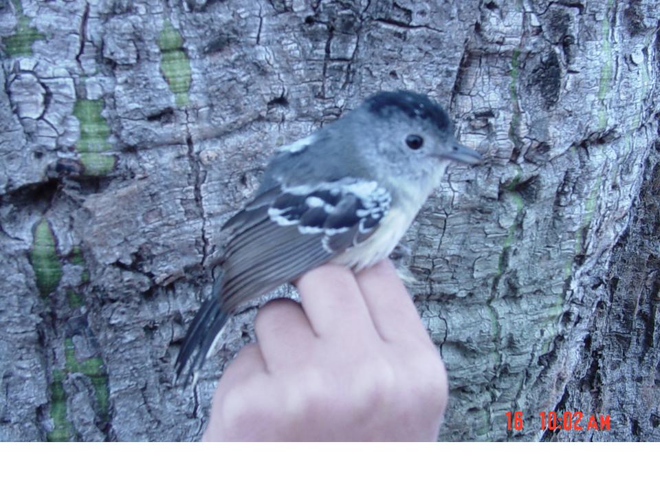 FIGURE 13 FIGURE 13